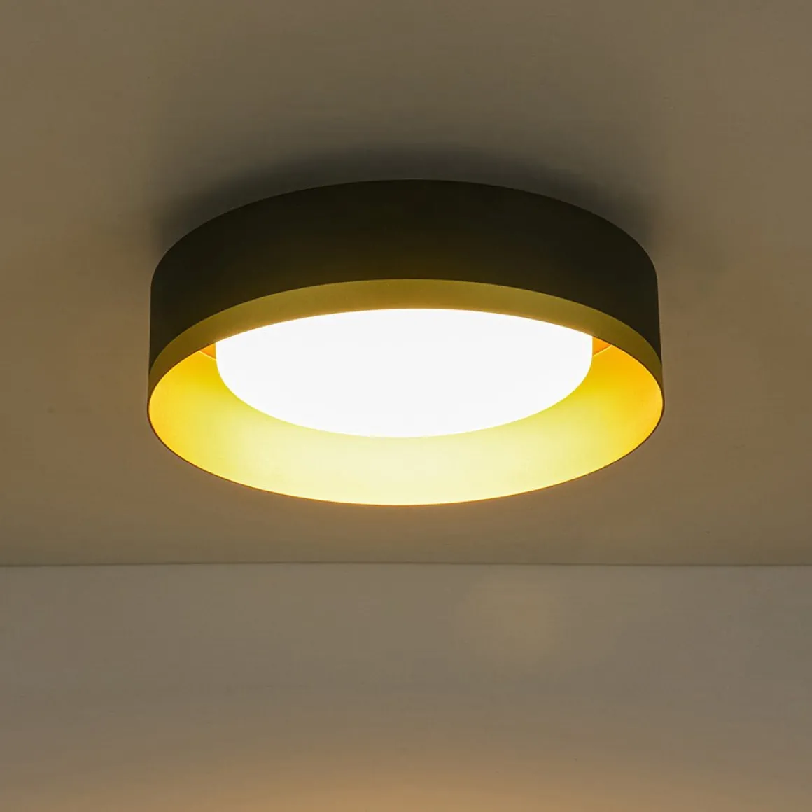 Dimmable LED Black Gold Iron Milky Glass Drum Flush Mount