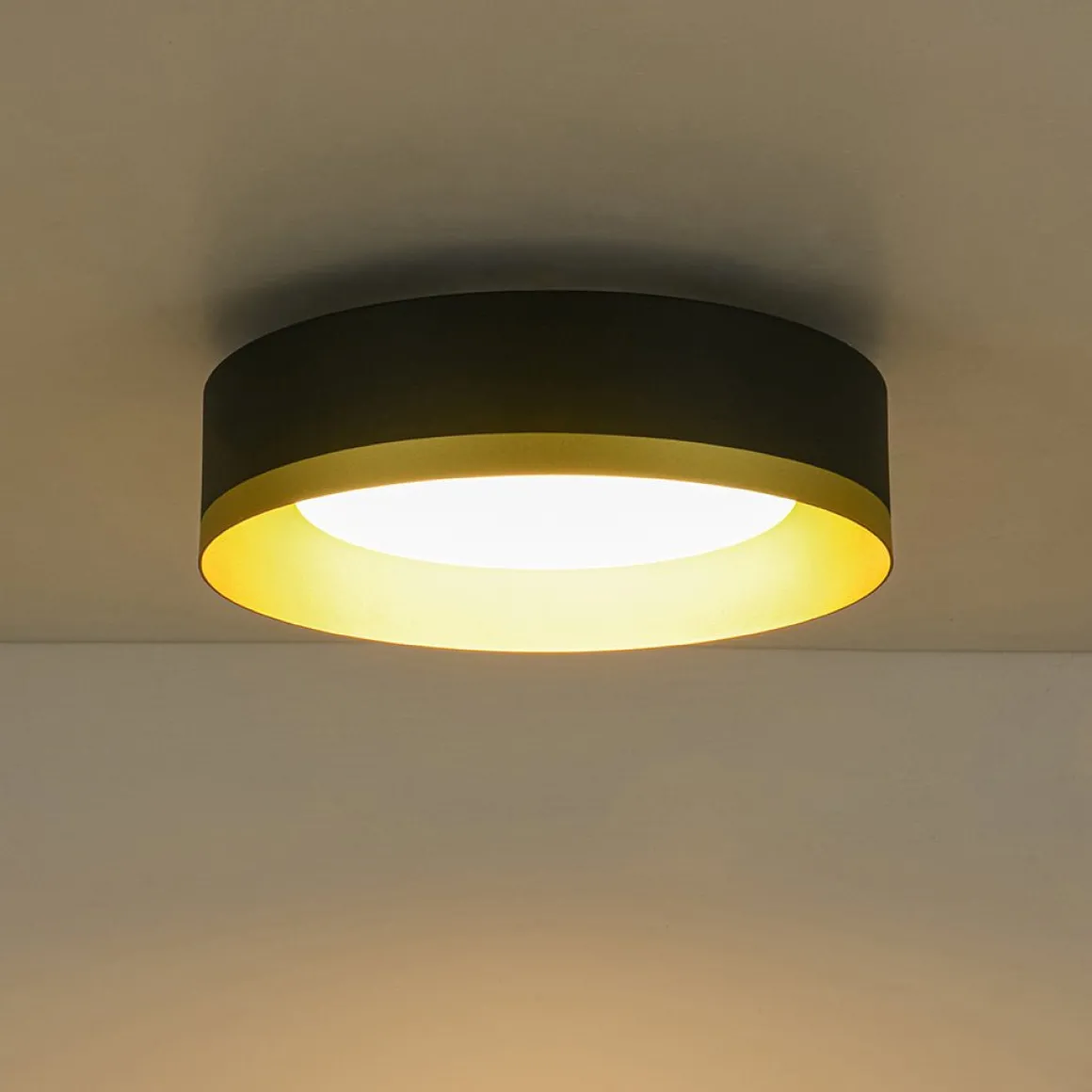 Dimmable LED Black Gold Iron Milky Glass Drum Flush Mount