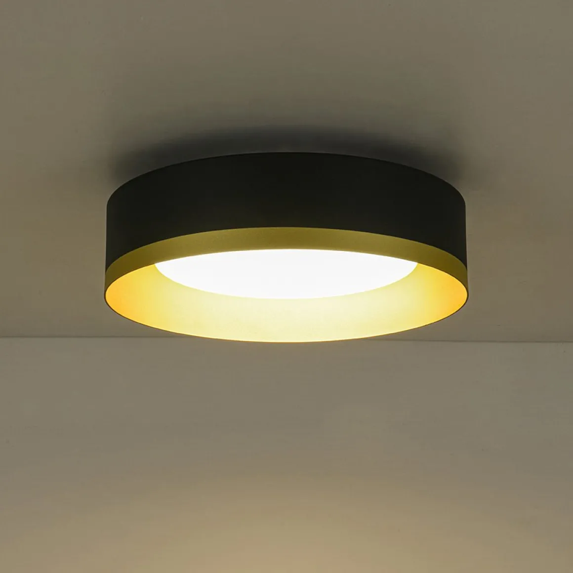Dimmable LED Black Gold Iron Milky Glass Drum Flush Mount