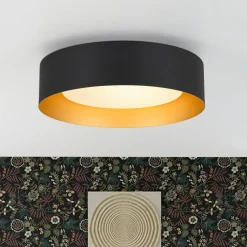 Dimmable LED Black Iron Milky Glass Round Drum Ceiling Light