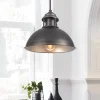 Industrial Single Pot Lid Dome Pendant