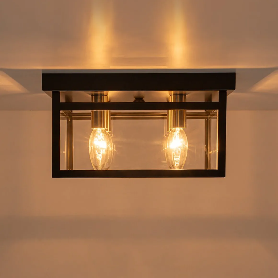 4-Light Clear Glass Black Square Cage Flush Mount Ceiling Light