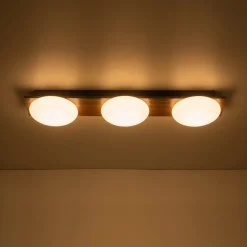 3-Light Dimmable LED Rustic Linear Flush Mount Light