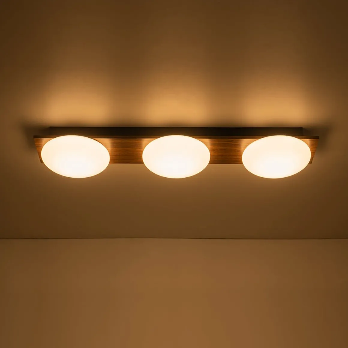 3-Light Dimmable LED Rustic Linear Flush Mount Light