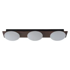 3-Light Dimmable LED Rustic Linear Flush Mount Light