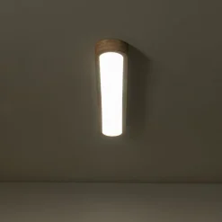 Natural Wood Long Oval Dimmable LED Flush Mount Light