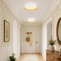 Scandinavian 5CCT Dimmable LED Round Flush Mount Light