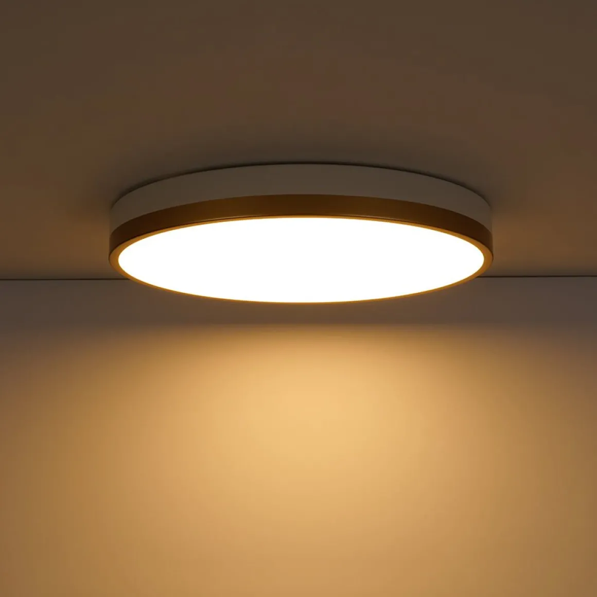 Scandinavian Round Dimmable LED Ceiling Light DIP Switch