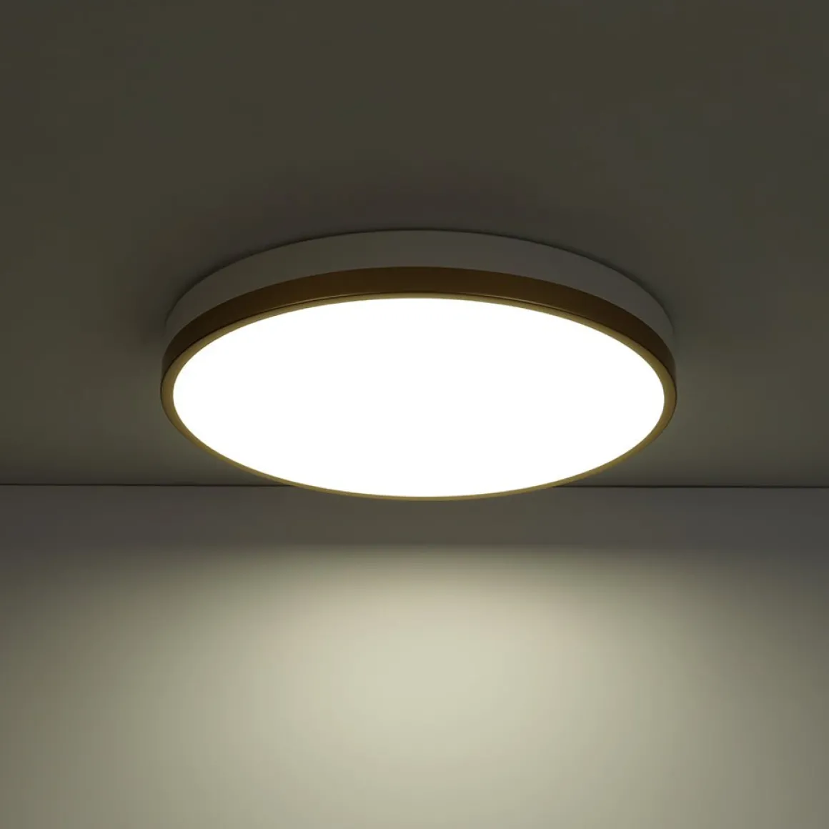 Scandinavian Round Dimmable LED Ceiling Light DIP Switch