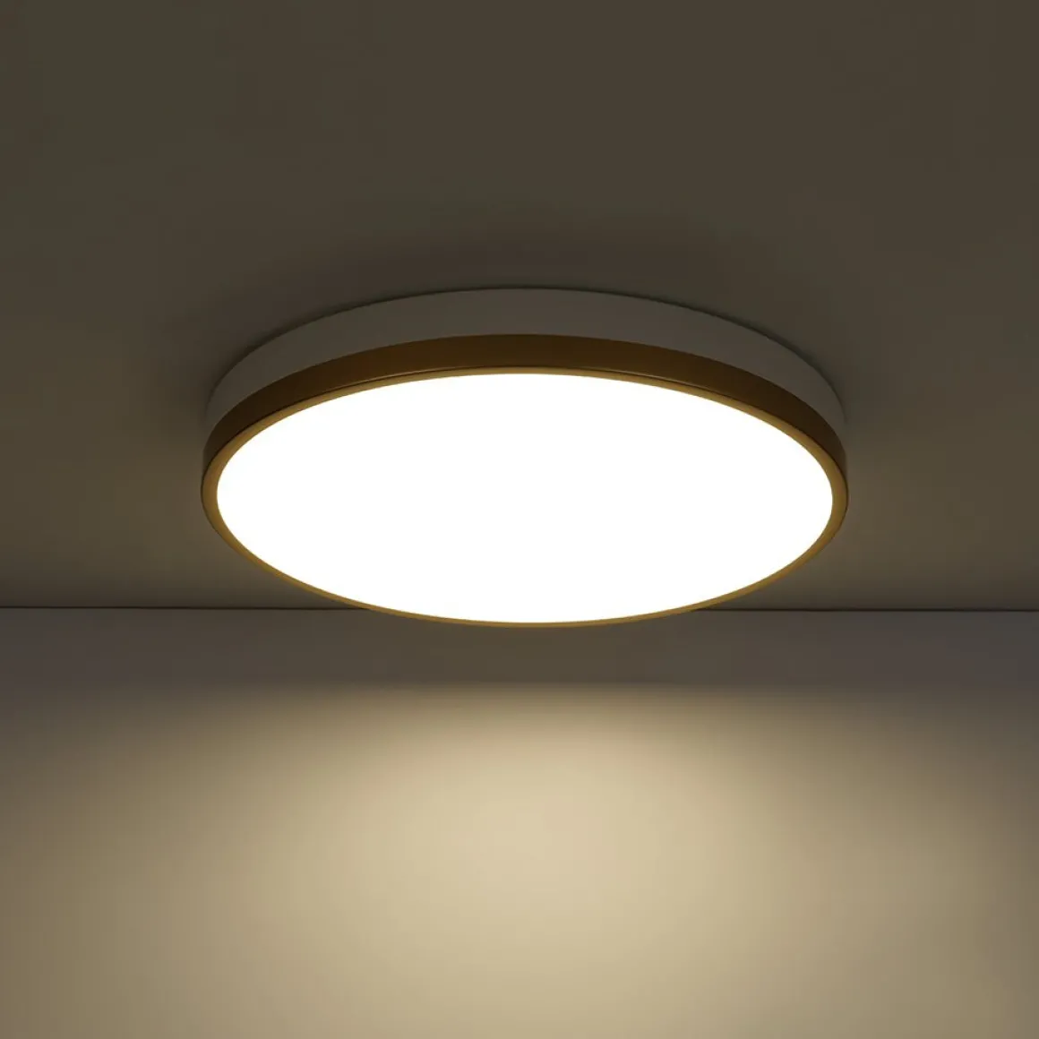 Scandinavian Round Dimmable LED Ceiling Light DIP Switch